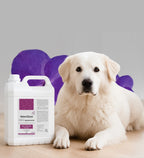 Pré Lavagem + Branqueador 5L