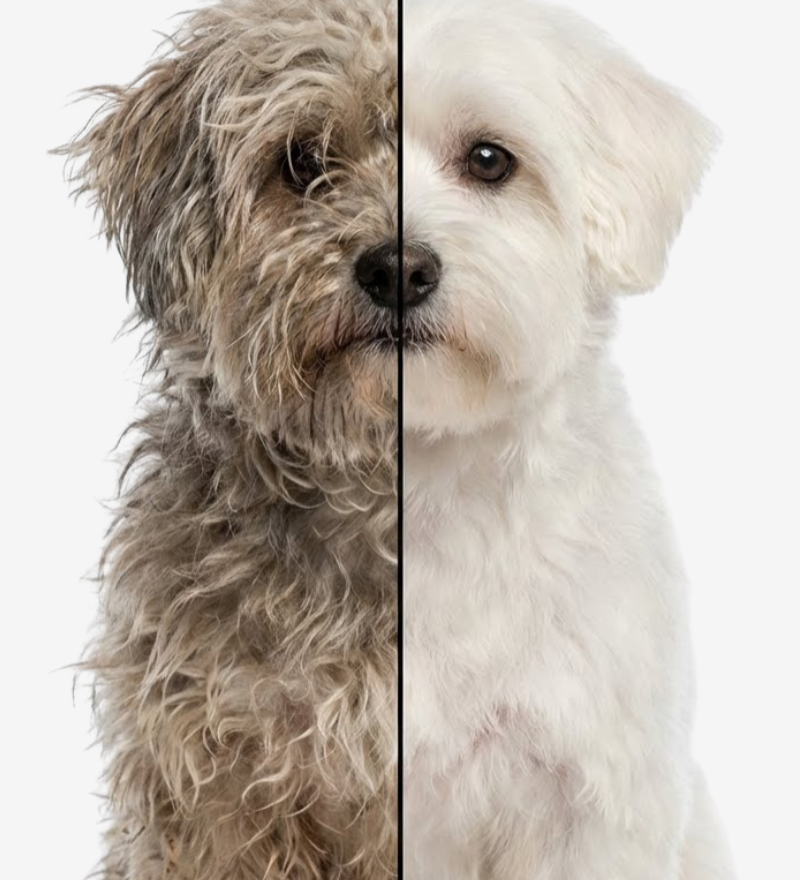 Creme Desembaraçante Ozonizado PRO