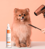 Fluido Pré Secagem Ozonizado PRO