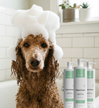 Shampoo Cabeça e Face Ozonizado PRO